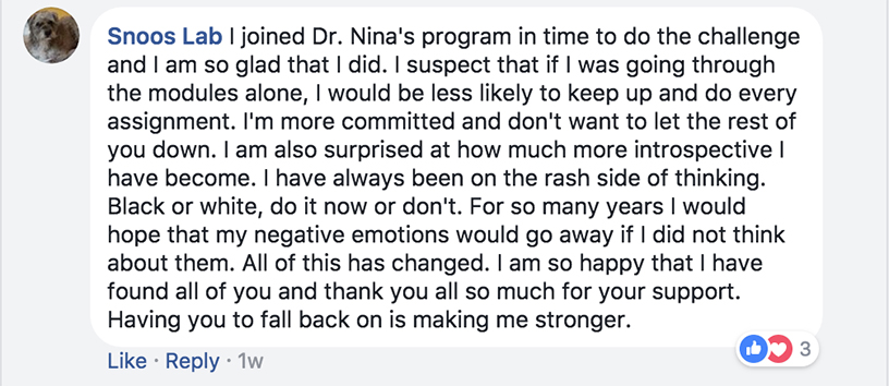 Customer testimonial